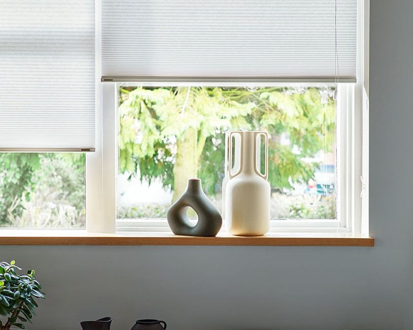 WhatsApp Image 2025-05-17 at 6.53.24 PM